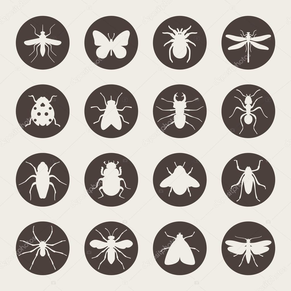 Insects icon set