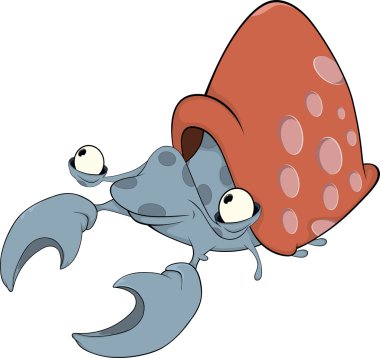 yumuşakça nautilus