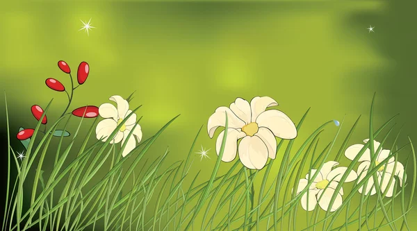 Kwiat Polanie — Wektor stockowy