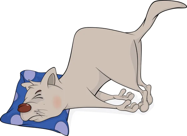 Dormir gato dibujos animados — Vector de stock