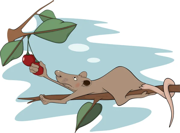 Rat en een kers. Cartoon — Stockvector