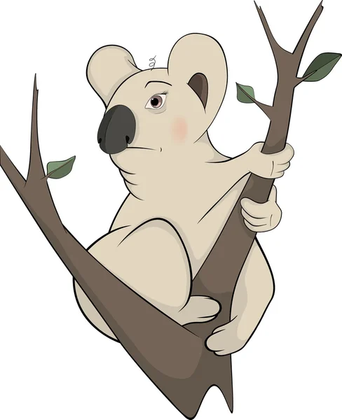 Urso Koala numa árvore. Desenhos animados — Vetor de Stock