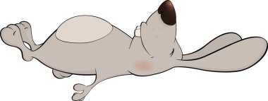 neşeli tavşan çizgi film