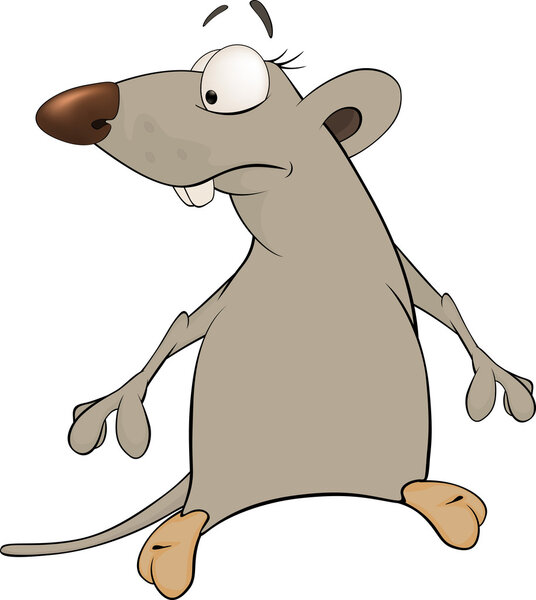 Rat cartoon