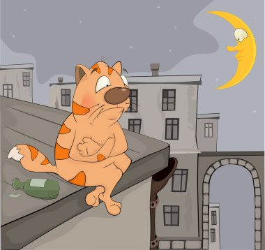 kedi üzerinde çatı ve gece bir şehir.
