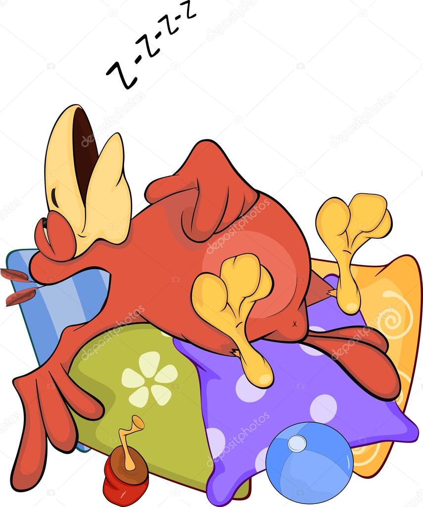 Parrot on pillows cartoon