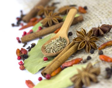 baharat izole çeşitli