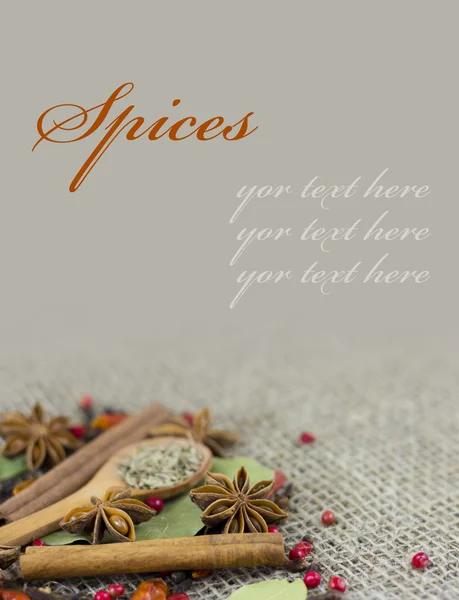 A variety of spices — Stock Photo, Image