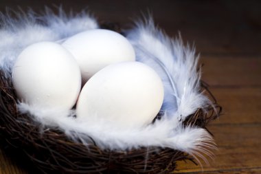  Paskalya yumurtaları 