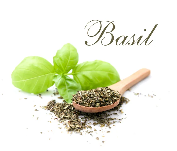 taze ve kuru fesleğen izole