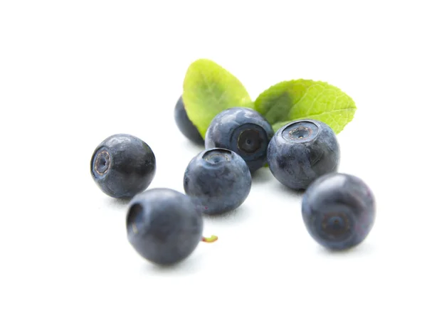 新鲜蓝莓与孤立的叶子 图库照片