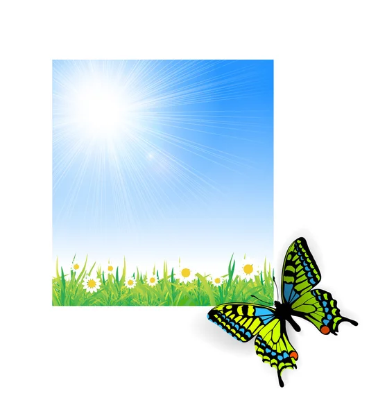 Illustration von grünem Gras mit einem Schmetterling — Stockvektor