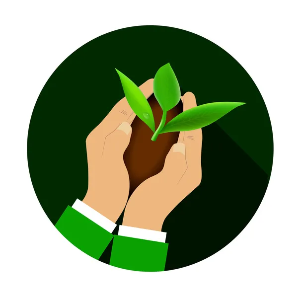 Hands holding young plant. — Stock Vector