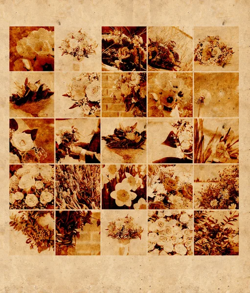 Retro floral backgrounds for your design — Stock Photo, Image