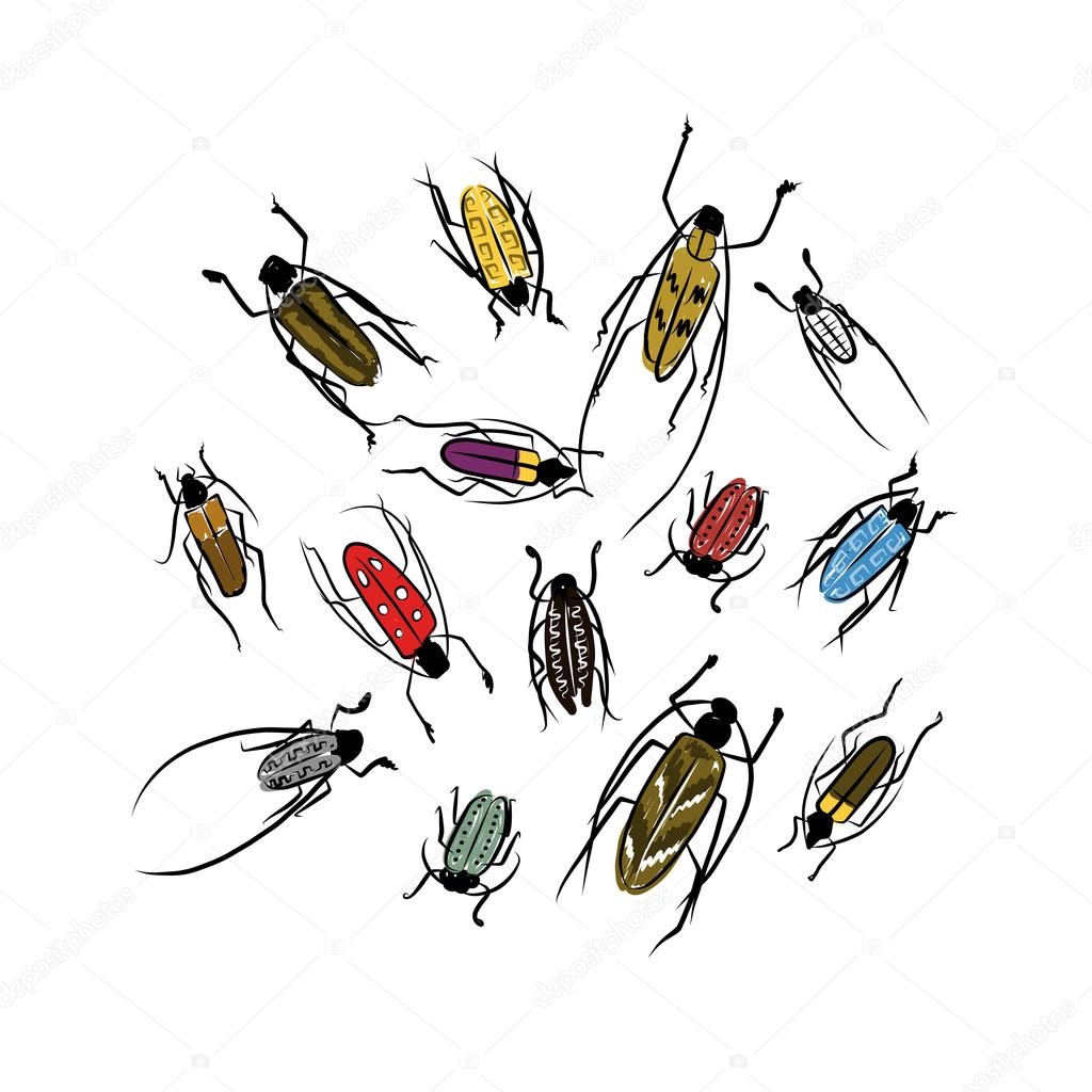 Sketch of funny colorful beetles for your design