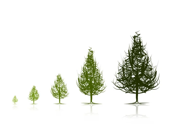Étapes de la croissance de l'arbre pour votre conception — Image vectorielle