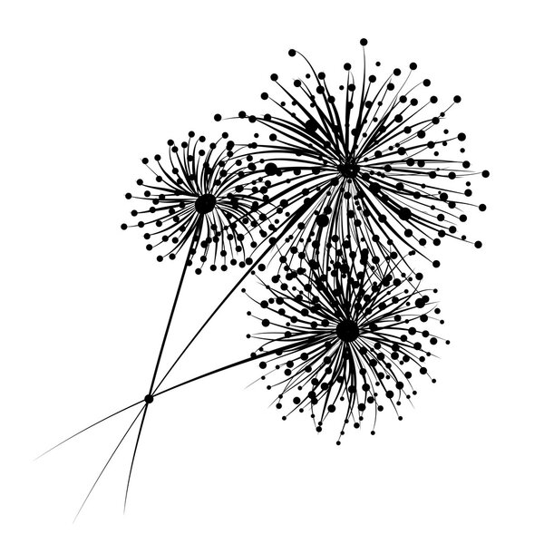 Одуванчик цветы для вашего дизайна
