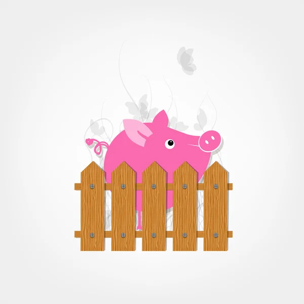 Cerdo divertido detrás de la valla de madera del jardín para su diseño — Archivo Imágenes Vectoriales