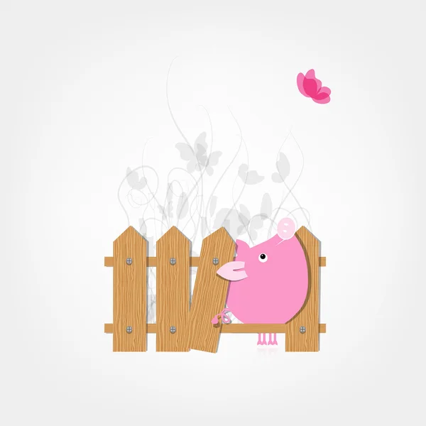 Funny pig behind wooden fence of garden for your design — Stock Vector