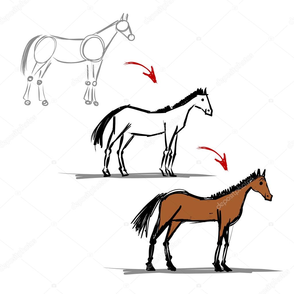 Stages of drawing horse sketch for your design