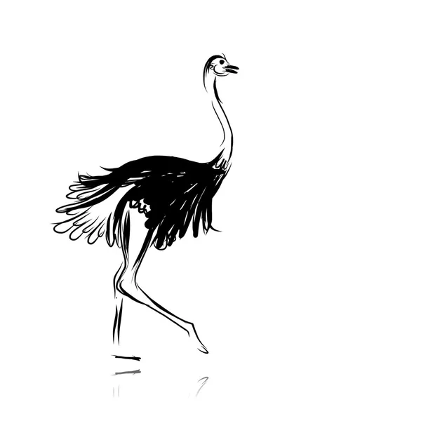 Esbozo de avestruz negro para su diseño — Vector de stock