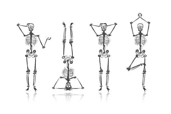 Esqueleto bocetos para su diseño — Archivo Imágenes Vectoriales