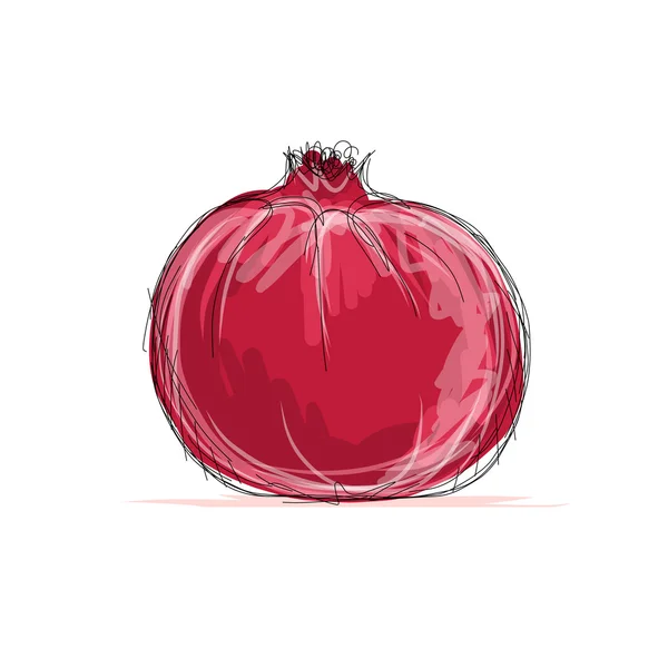 Sketch of pomegranate for your design — Stock Vector