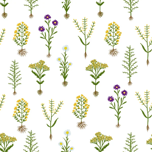 Herbarium blommor med rötter, sömlösa mönster — Stock vektor