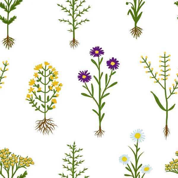 Herbariumblumen mit Wurzeln, nahtloses Muster — Stockvektor