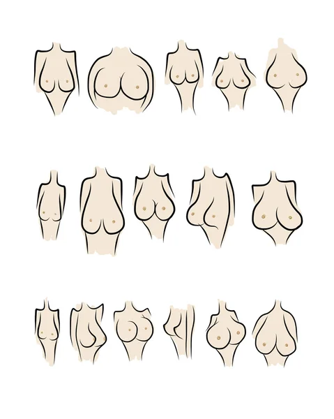 您设计的的女性乳房素描 — 图库矢量图片