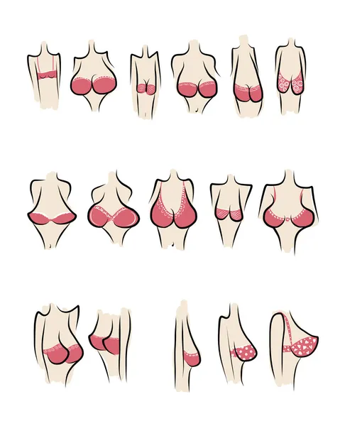 Sketsa payudara wanita untuk desain Anda - Stok Vektor
