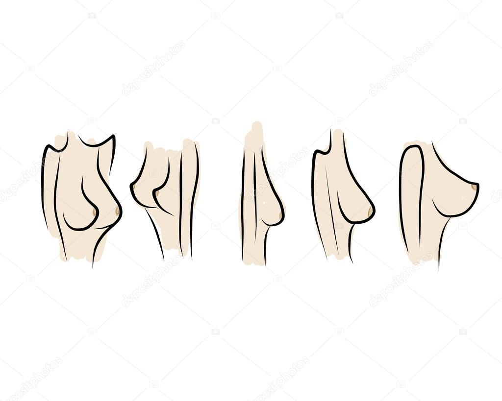 Female breast sketch for your design Stock Vector by ©Kudryashka