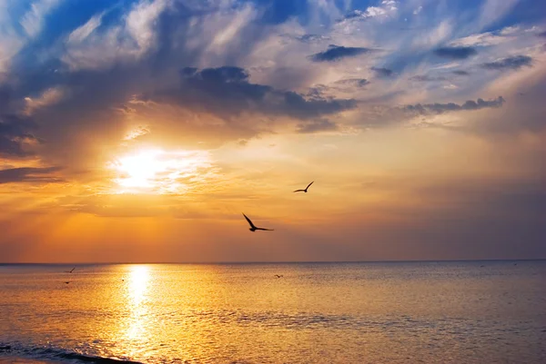 Salida del sol en el mar — Foto de Stock