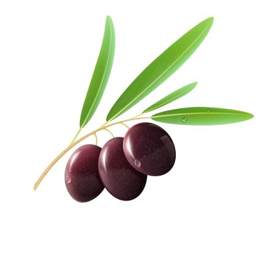 siyah zeytin
