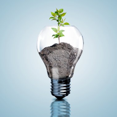 Elektrik ampulü ve bitki içine