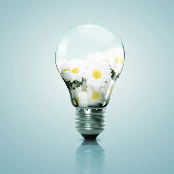 Lâmpada elétrica e flor dentro dele — Fotografia de Stock
