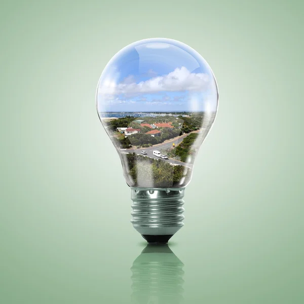 Electric light bulb and a plant inside it — Stock Photo, Image