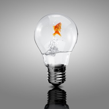 bir elektrikli ampul içinde altın balık