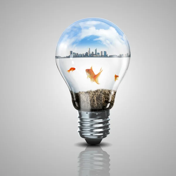 Gold fish inside an electric bulb — Stock Photo, Image