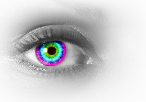 Human eye on grey background