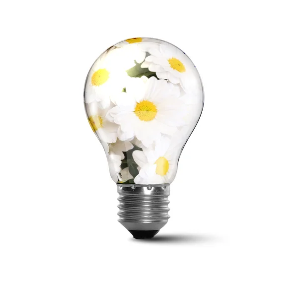 Ekologické žárovky — Stock fotografie