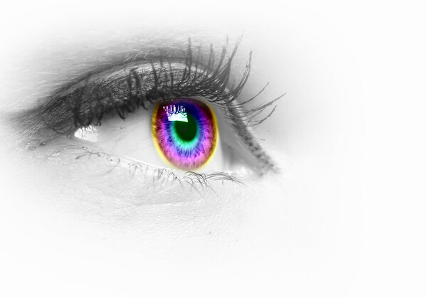 Human eye on grey background