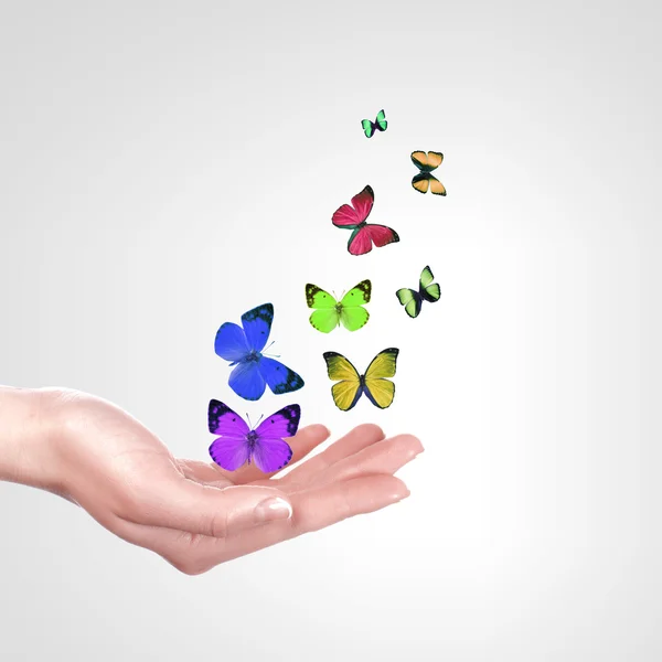 Hände geben Schmetterlinge frei — Stockfoto