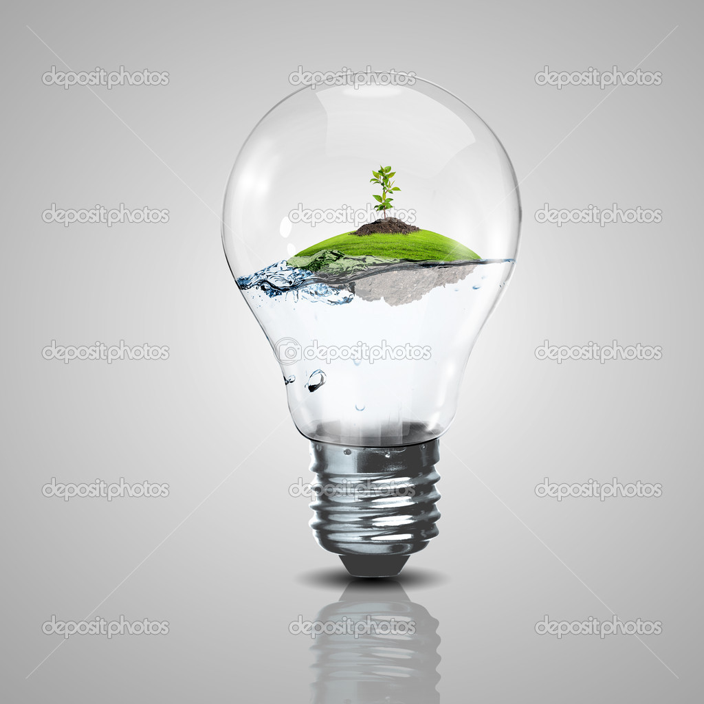 Electric light bulb and a plant inside it