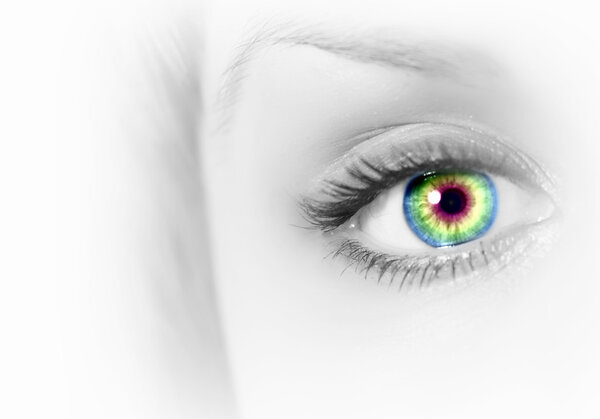 Human eye on grey background