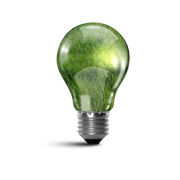 Ecology bulb light — Stock Photo, Image