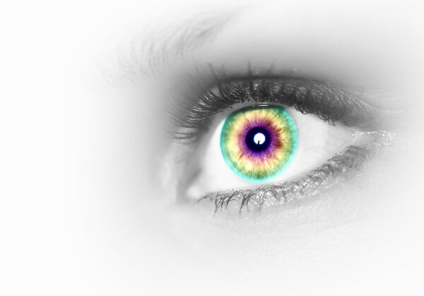 Human eye on grey background