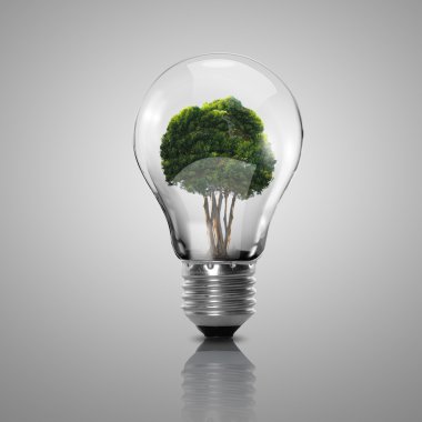 Elektrik ampulü ve bitki içine