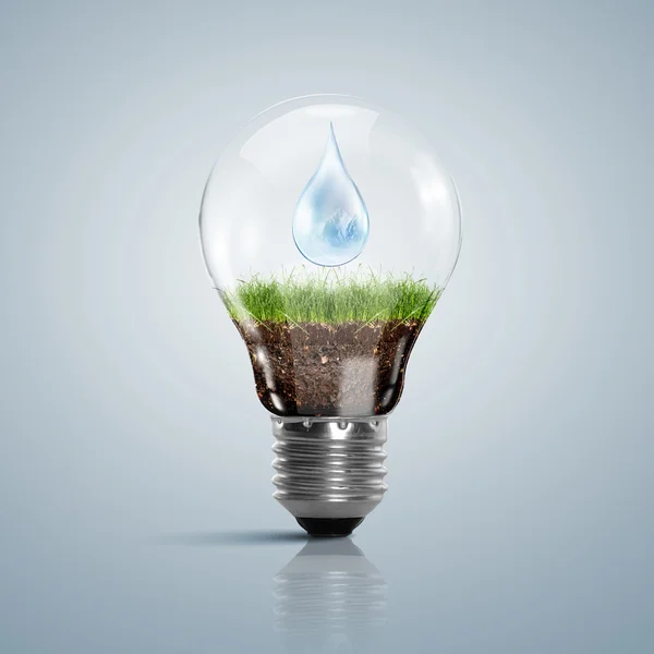 Glühbirne mit sauberem Natursymbol im Inneren — Stockfoto