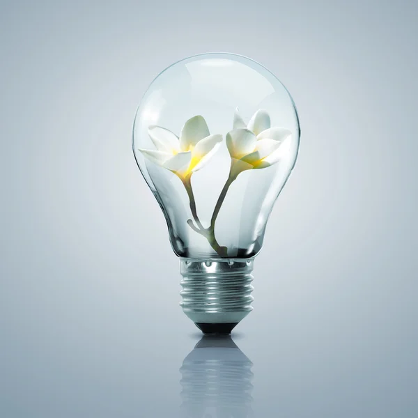 Electric light bulb and flower inside it — Stock Photo, Image